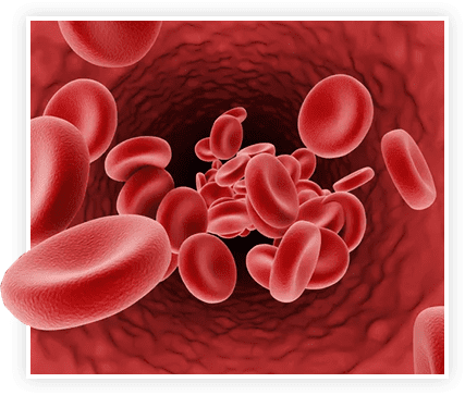 ProstaVive blood Flow