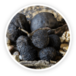 Black Walnuts