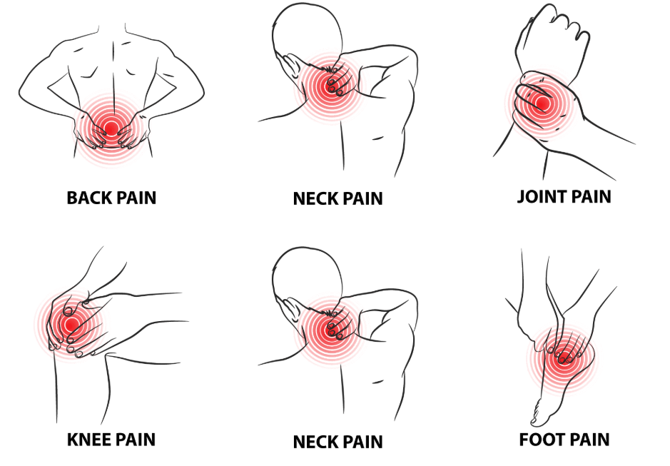 Conolidine ConoCB2 Benefits