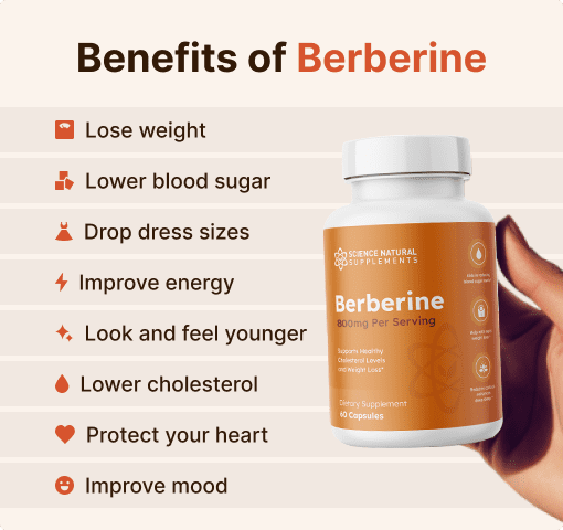Berberine B1G2 Benefits