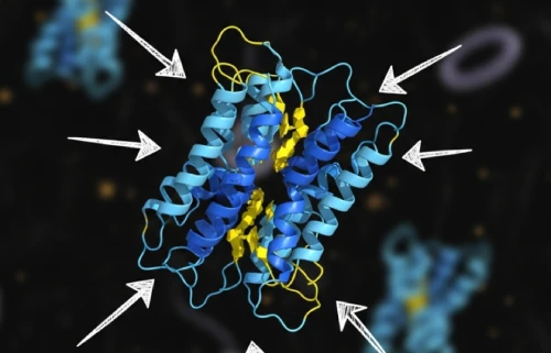 GlucoTrust Bites wordk