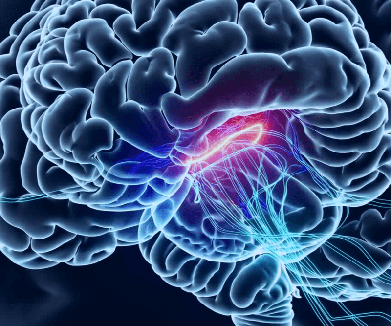 Neuro Energizer Benefits