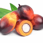 Palmitoylethanolamide