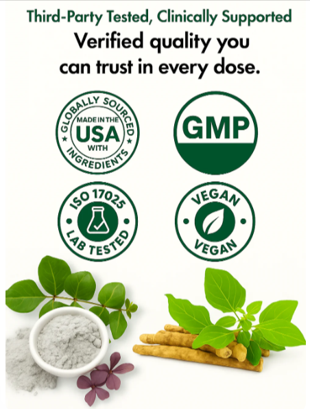 Cloud 9 Daily Restore certified