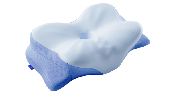 Derila ERGO Memory Foam Pillow Reviews