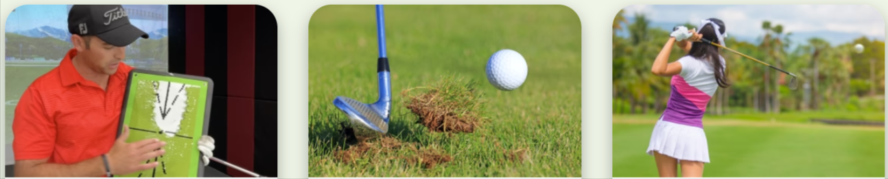 Birdie Mat Pro Customer Reviews