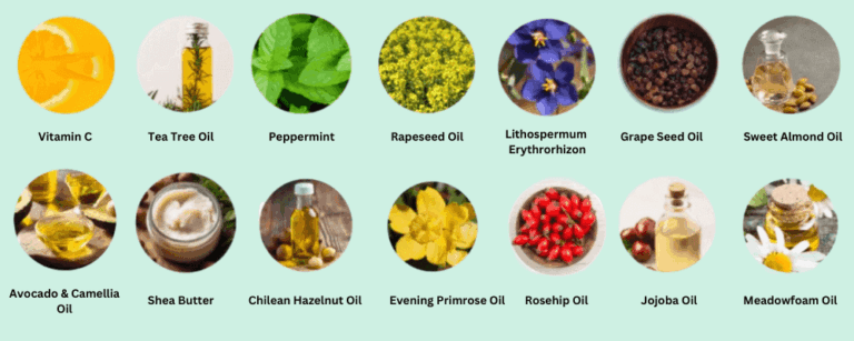 Orivelle Antifungal Pen Ingrediets