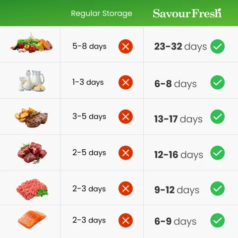 SavourFresh Vacuum Food Sealer