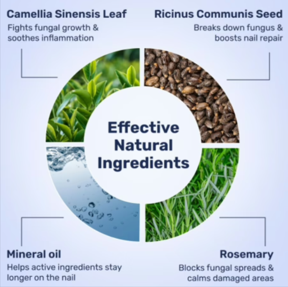 WellaNail Fungus Treatment Oil Ingredients