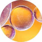 Ascorbic Acid (Vitamin C)