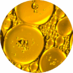 Tocopheryl Acetate (Vitamin E)