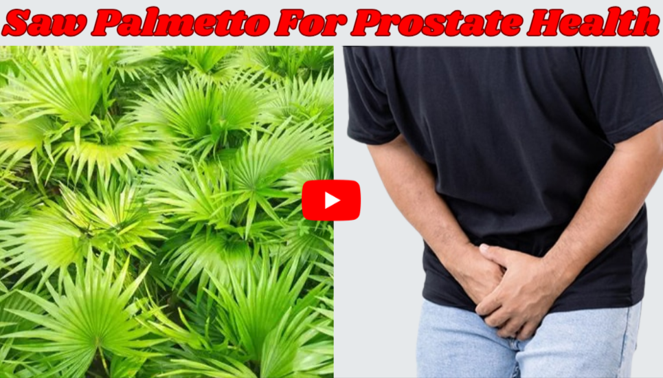 saw palmetto for prostate health