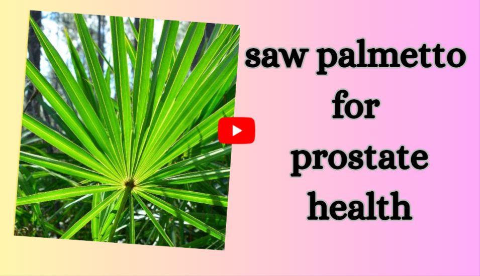 saw palmetto prostate health