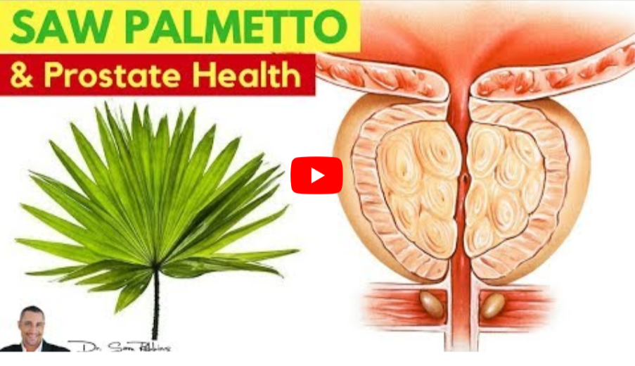 sawpalmetto for prostate health