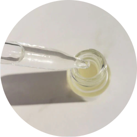 Bacillus Ferment