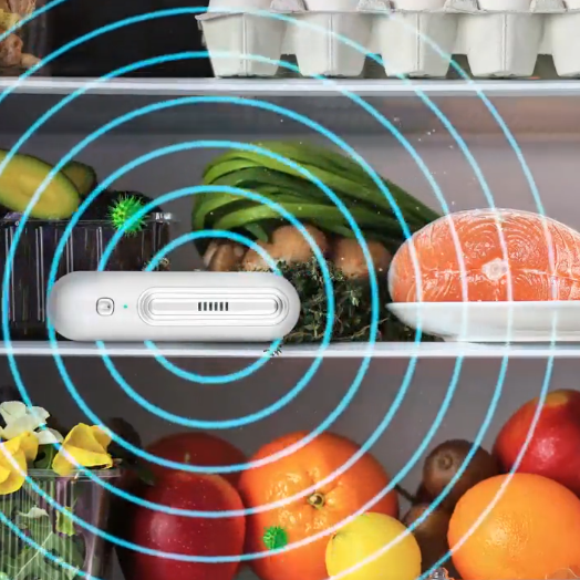Ozoori Fridge Deodoriser working process 
