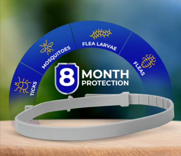 Barxbuddy BiteShield Collar benefits