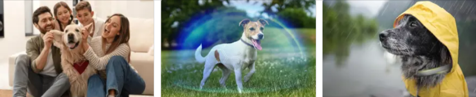 Barxbuddy BiteShield Collar why choose