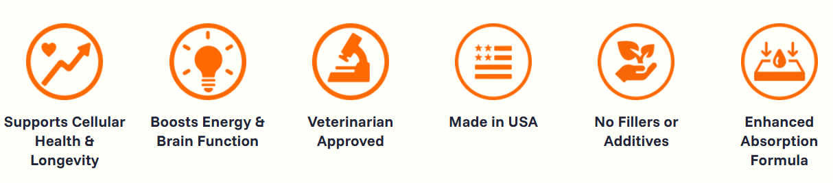 PawPrint Protocol features