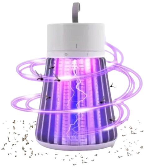Zappify image