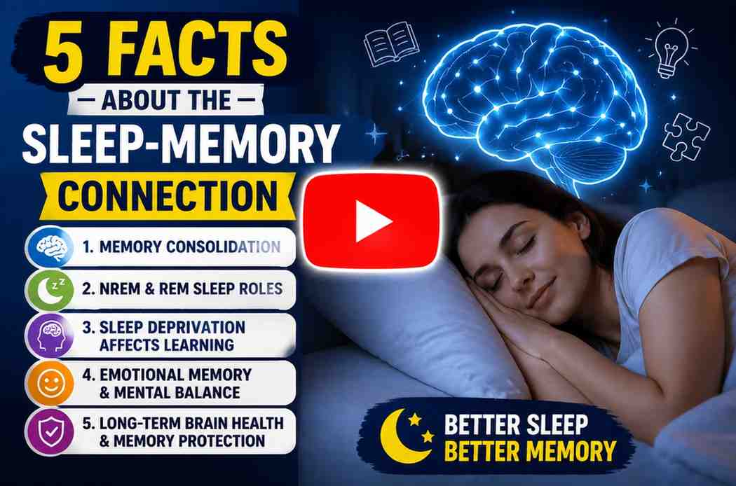 5 Facts About the Sleep-Memory Connection