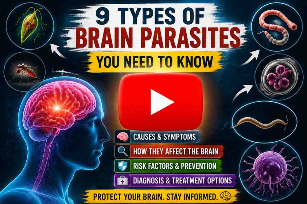 9 Types of Brain Parasites