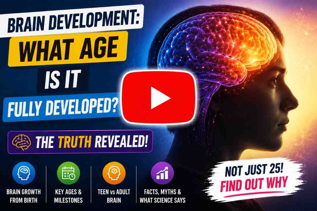 At What Age Is Your Brain FullyDeveloped