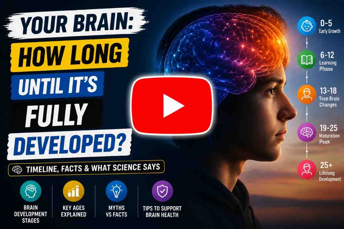 At What Age Is YourBrain Fully Developed