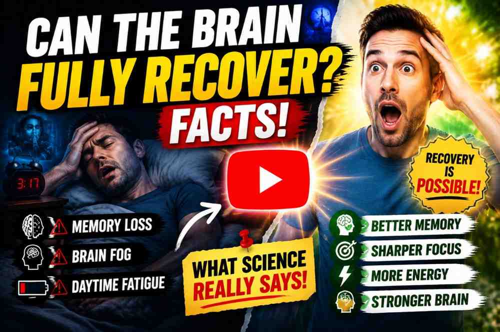 Brain-recovery_-can-it-happen