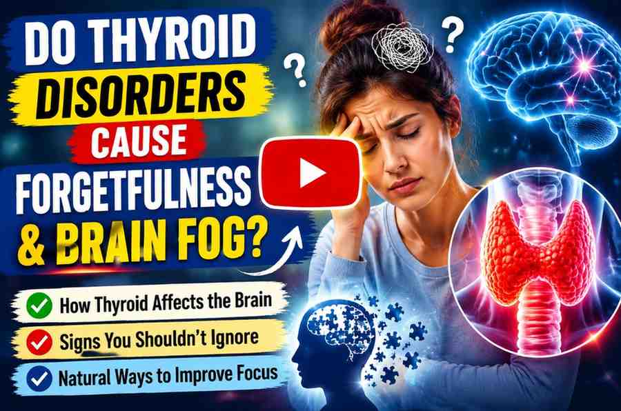 Do Thyroid Disorders Cause Forgetfulness and BrainFog