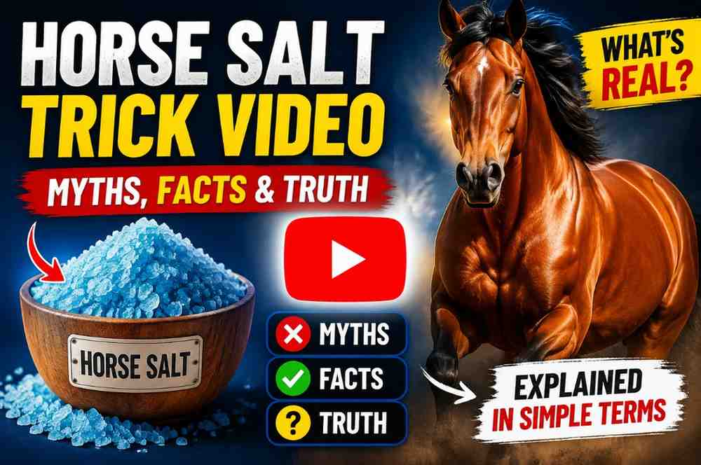 Horse-salt-trick-video