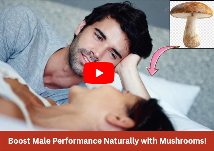 Mushroom Benefits for Men Sexually