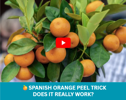 Peel Trick