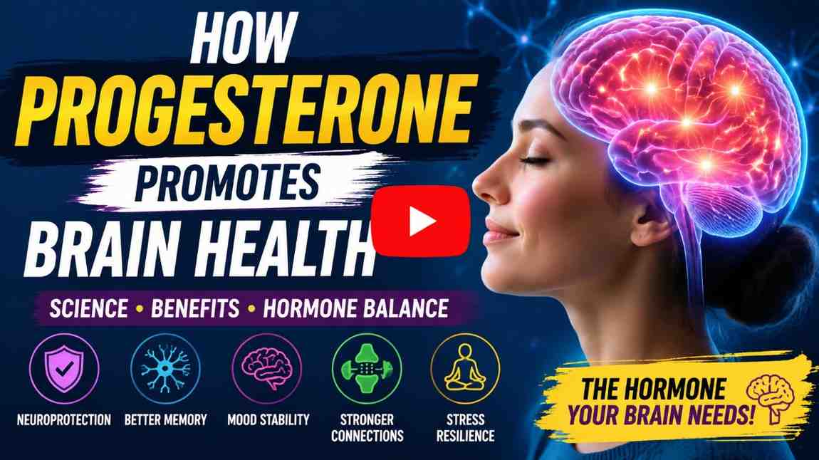 Progesterone-and-brain-health-explained