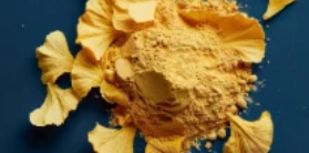 Ginkgo