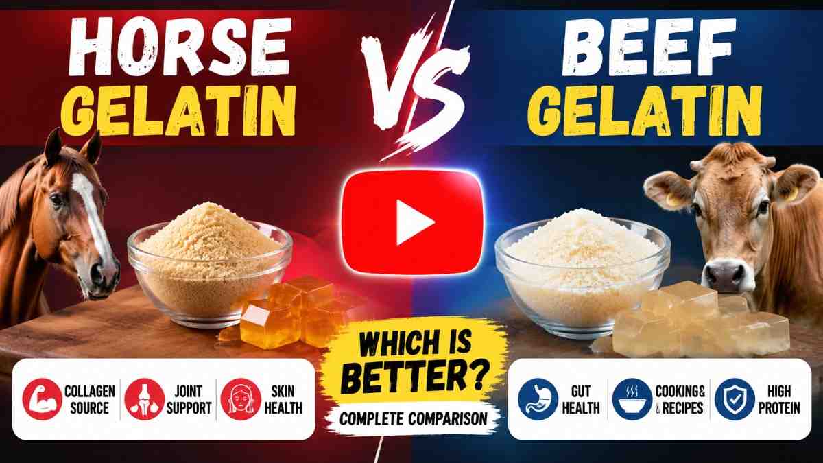 Horse-vs-beef-gelatin-comparison