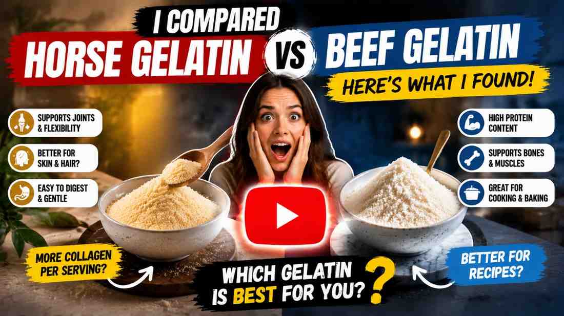 Horse-vs-beef-gelatin-showdown