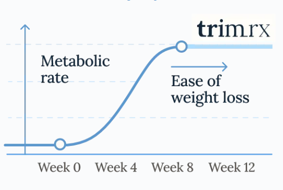 TrimRx Tirzepatide timeline results
