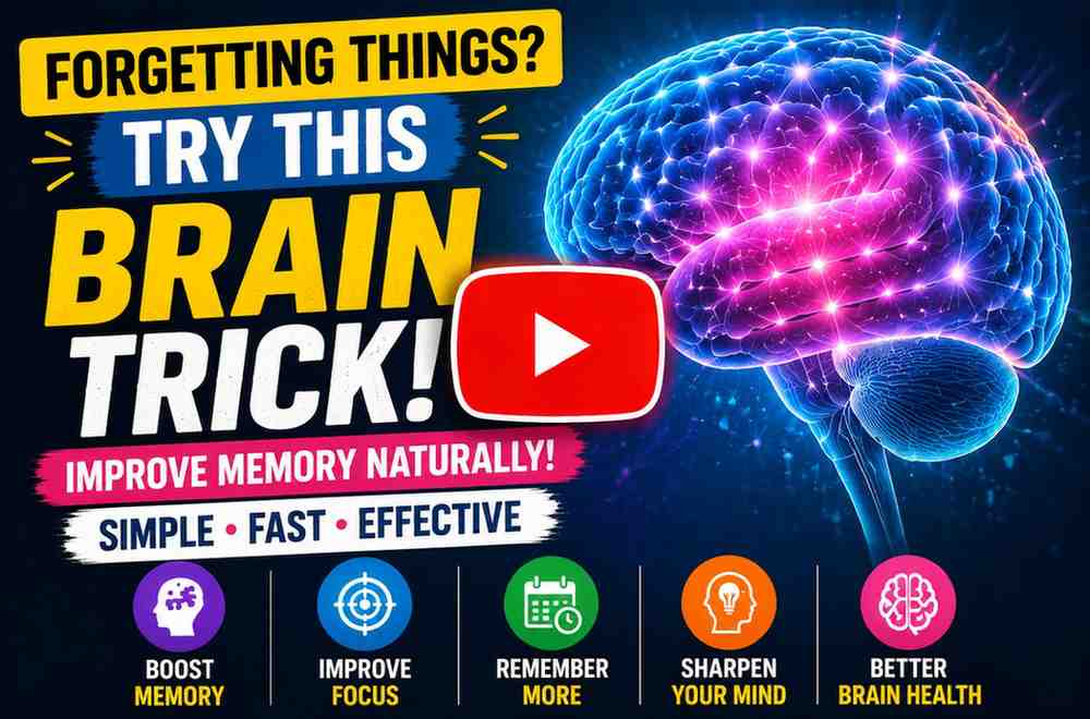 elephant trick in memory loss