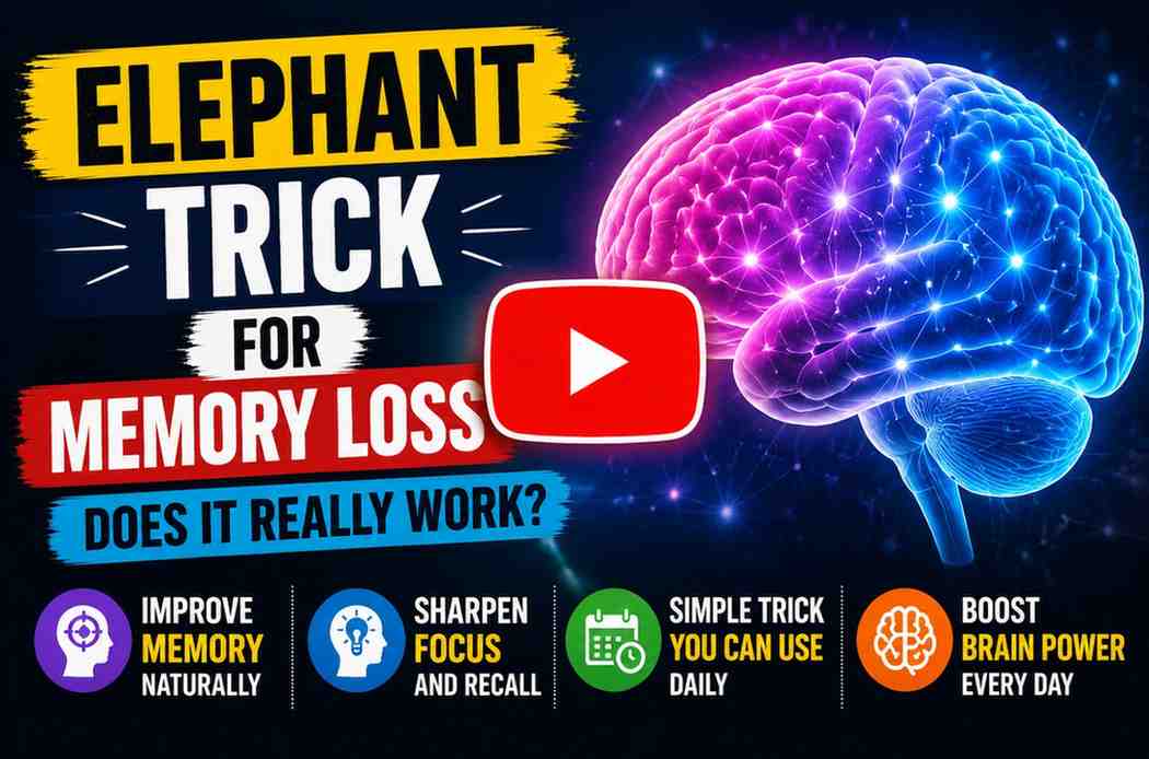 elephanttrick for memory loss