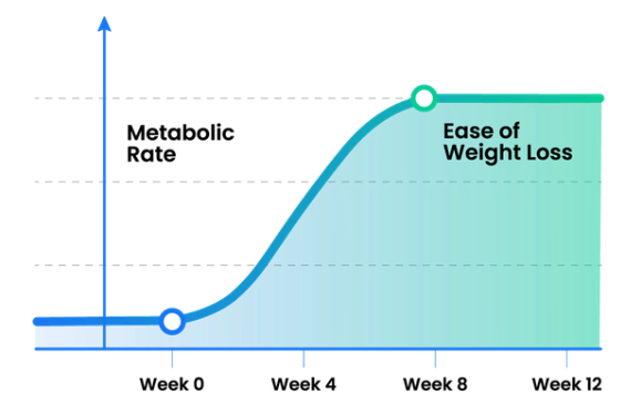 mystart time line