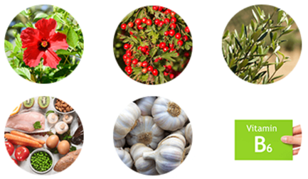 Prostivo ingrediants