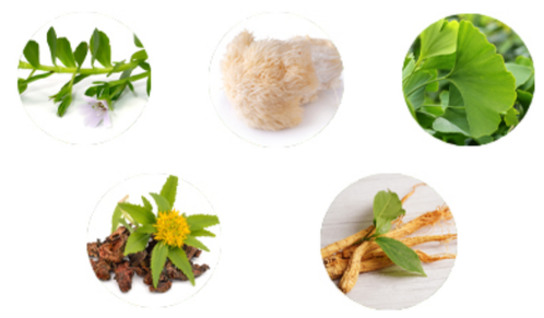 Memora Ingredients
