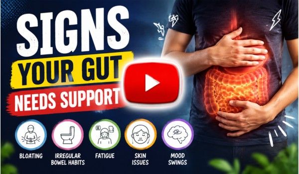 gut health support