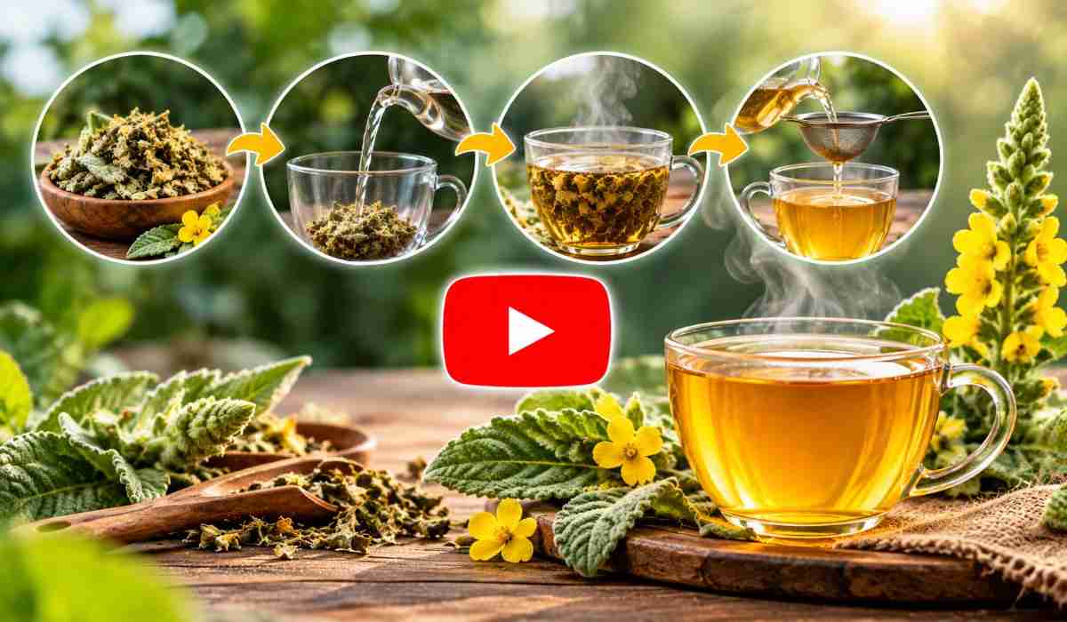Mullein Tea Brewing Steps